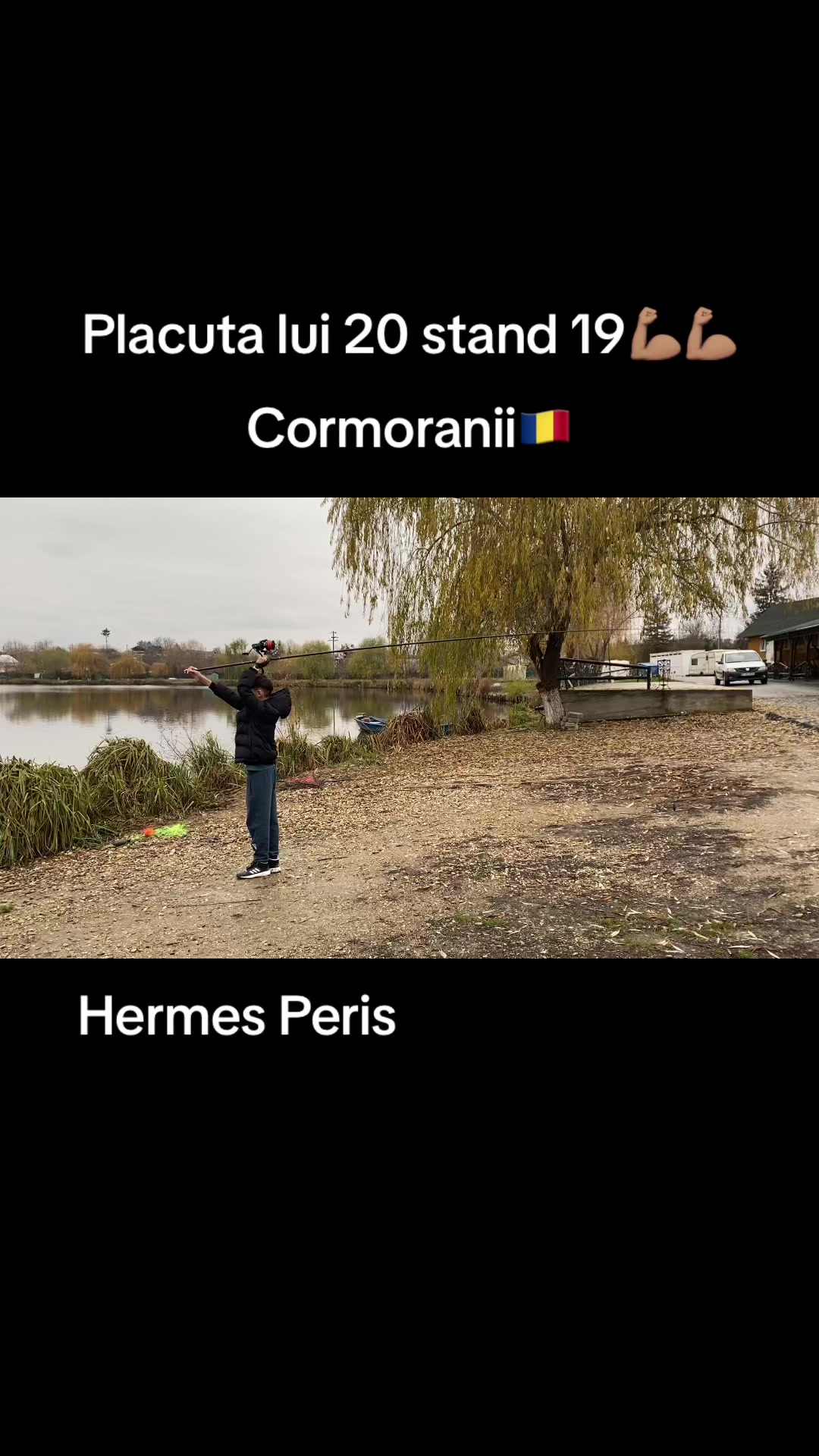 @toni_cormoranii