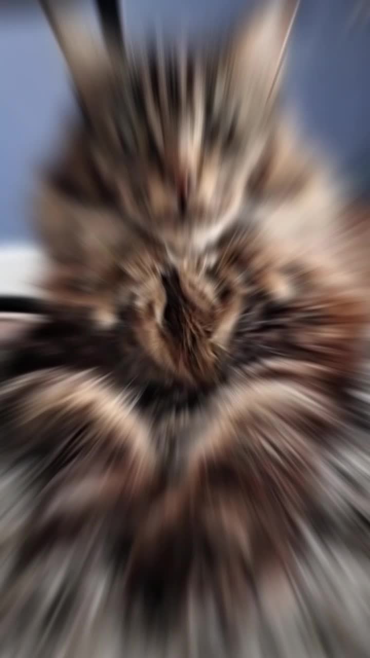 @lindase19