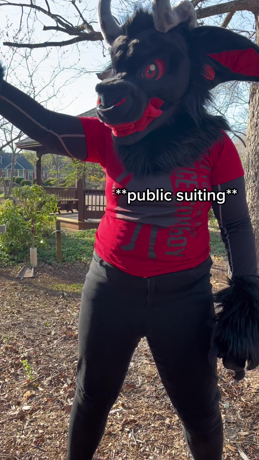 @Hazel Wolf