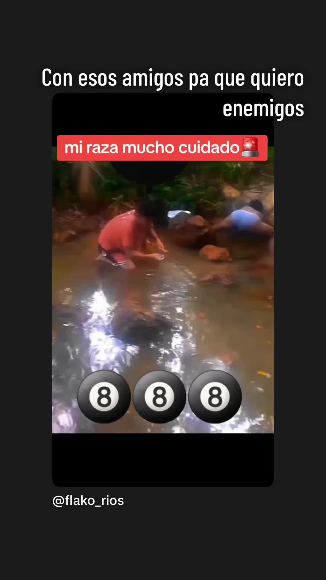 @Elpeluche de Guanajuato