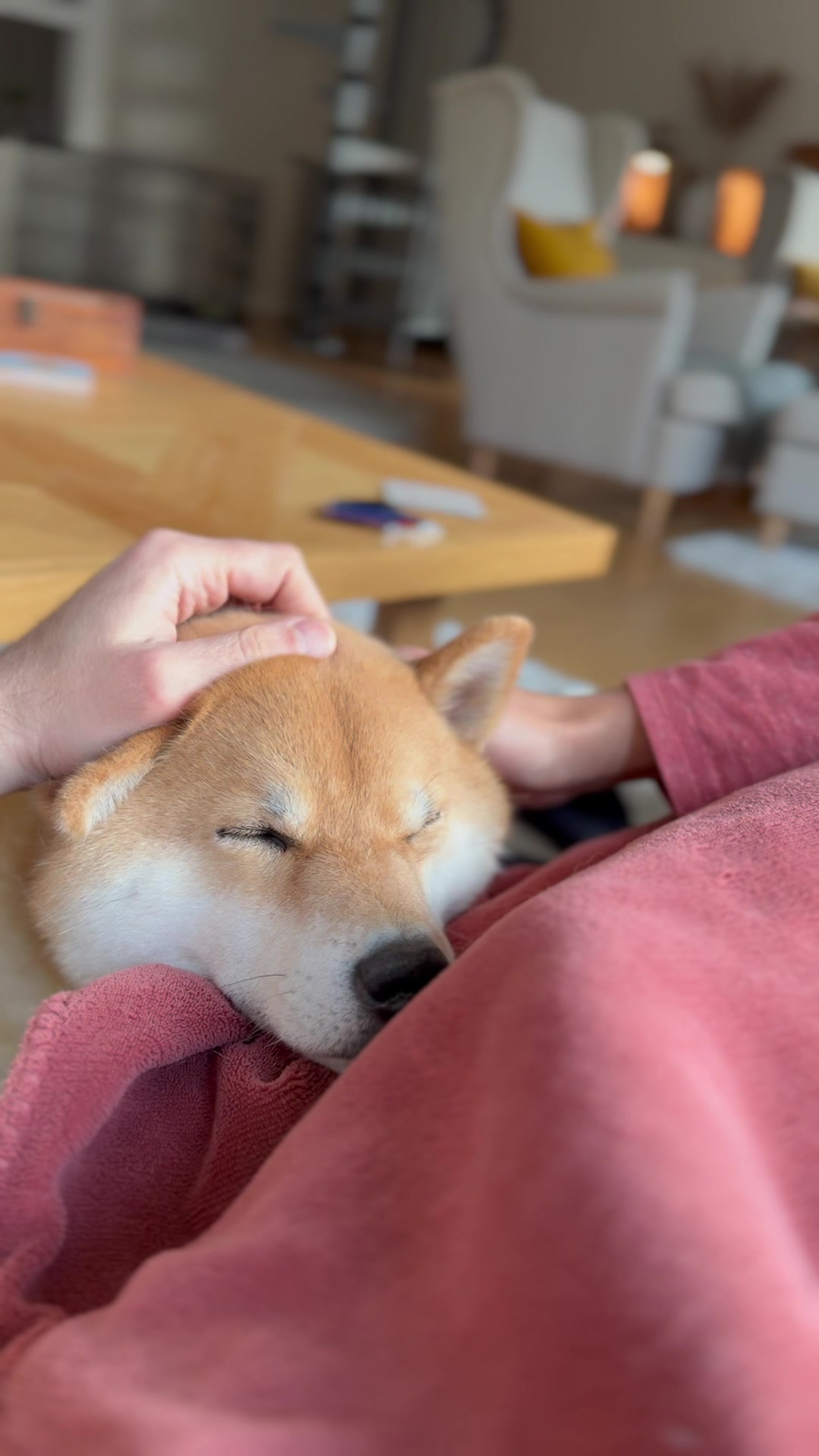 @yoshi.doggyhood