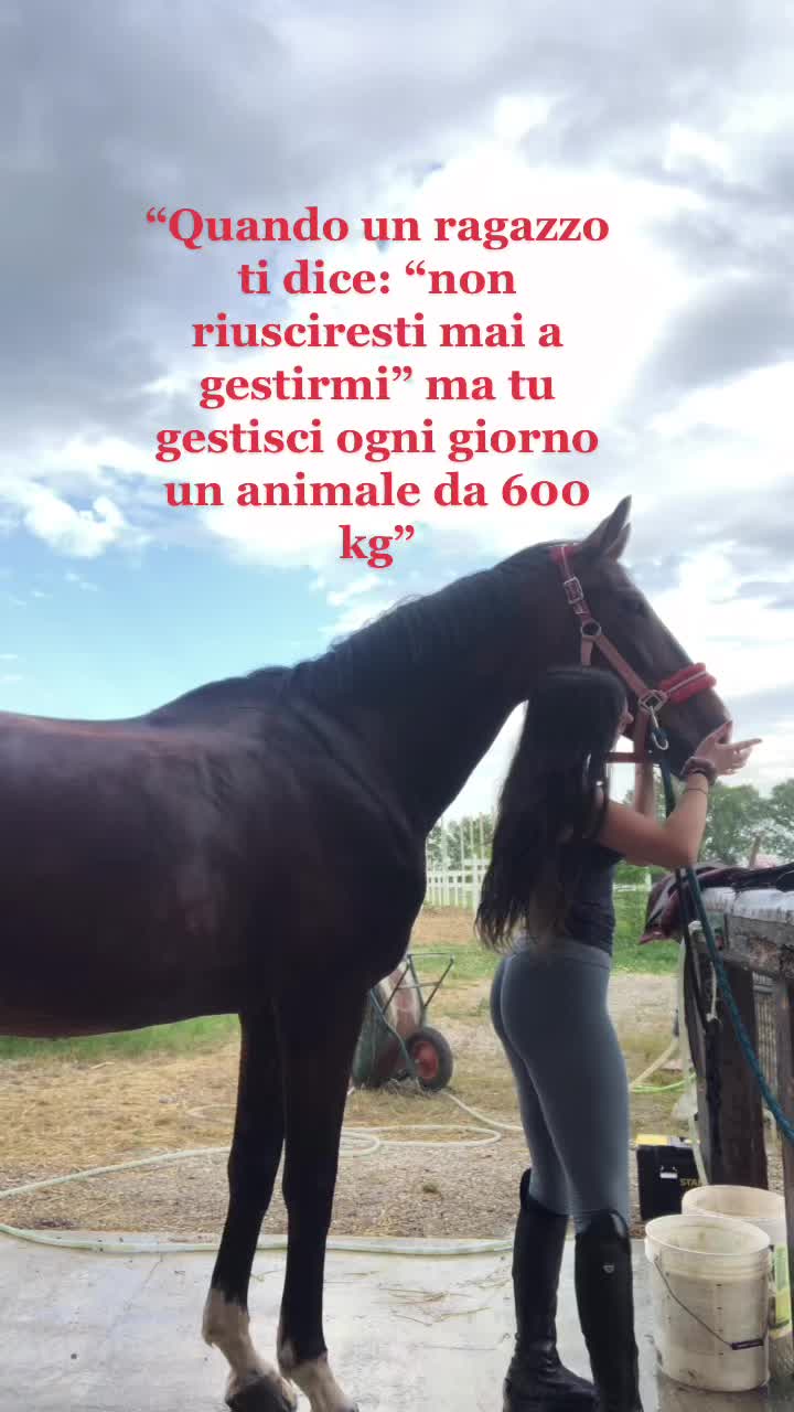 @Sofia Zambelli