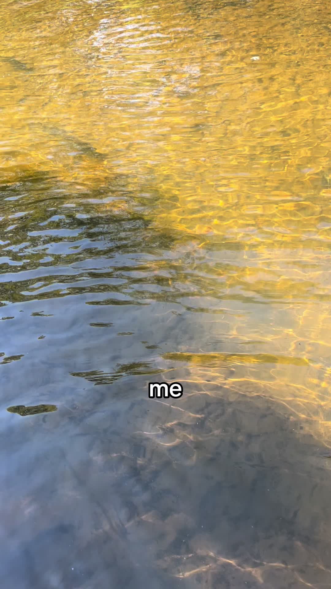 @Aiden