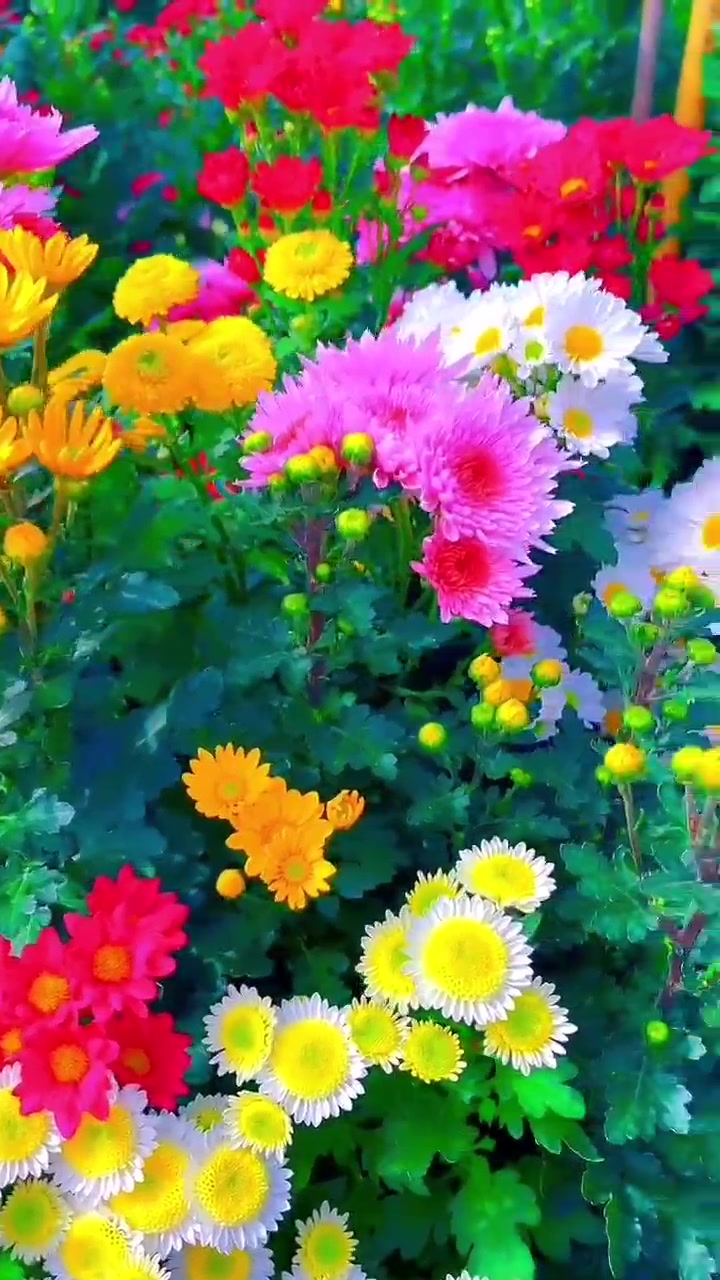 @Natural scenery