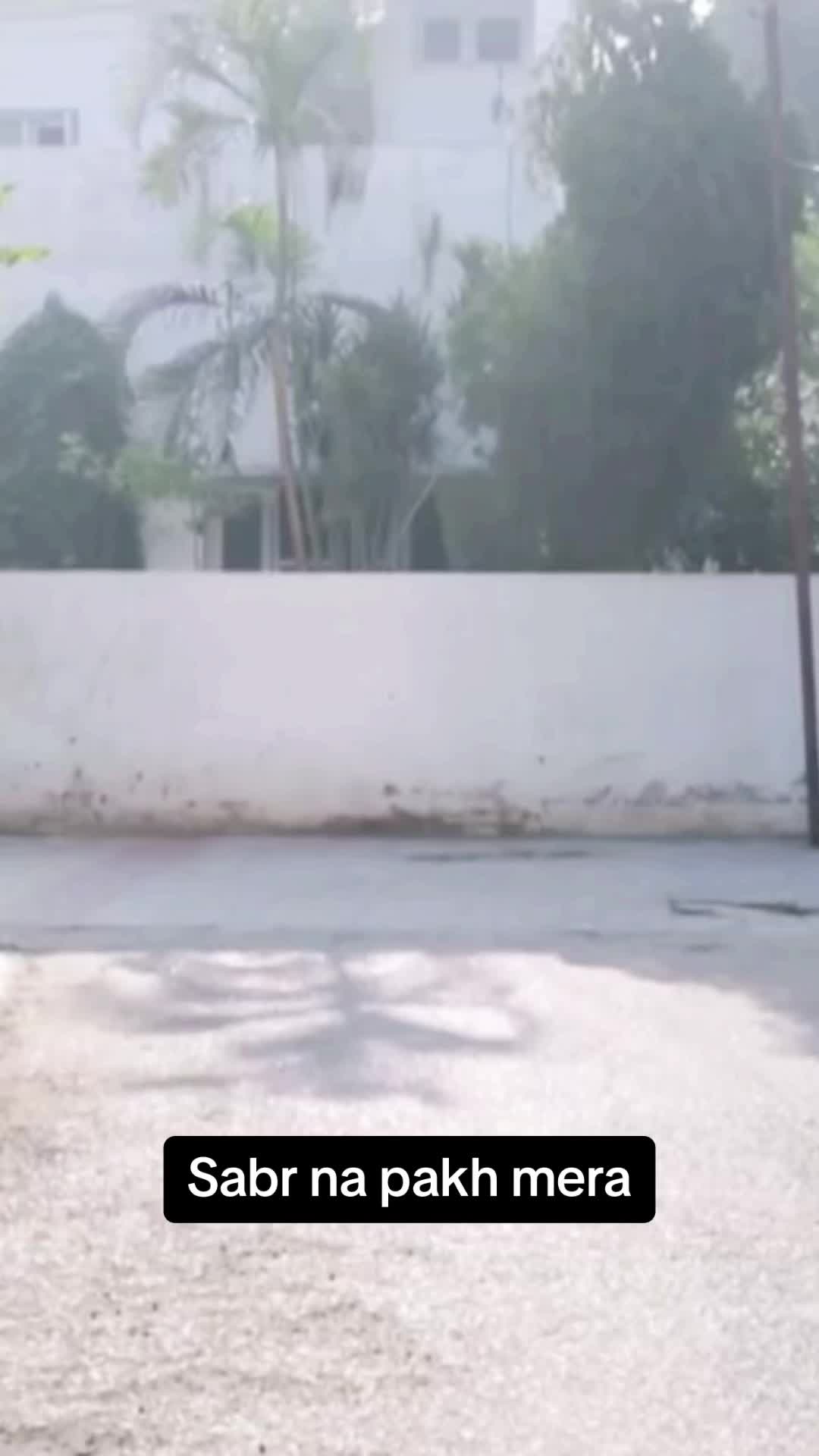 @Masala Entertainment