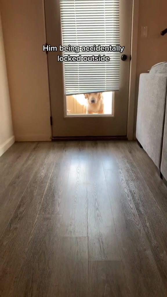 @George The Golden