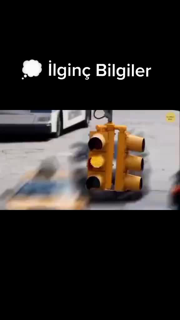@Bilimsel Paylaşımlar