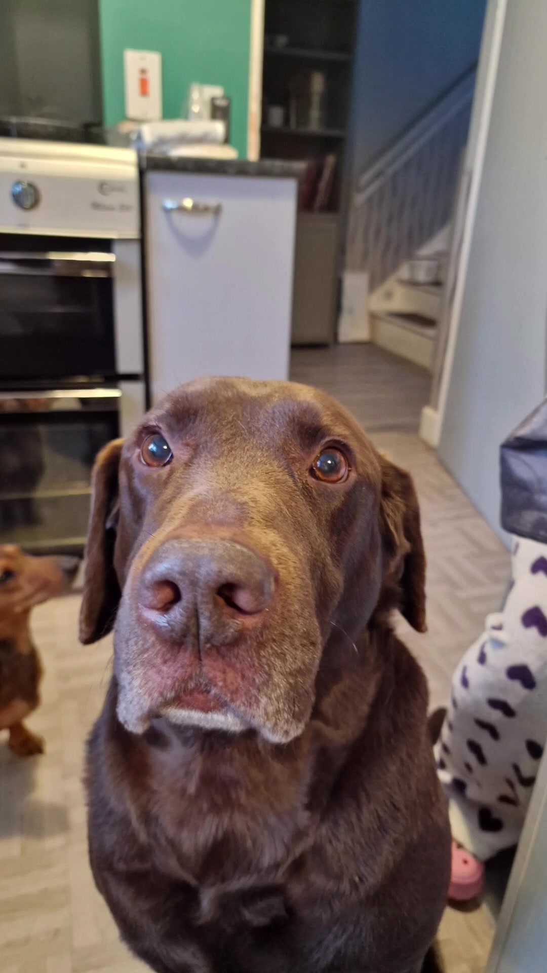 @David-Alan