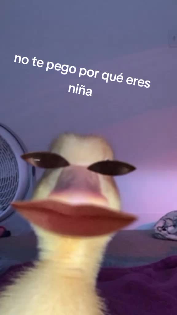 @Dayre