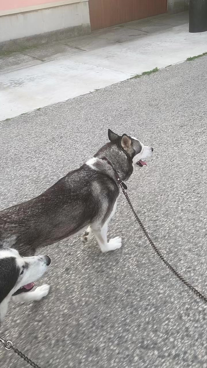 @Neli Káli, 🥰