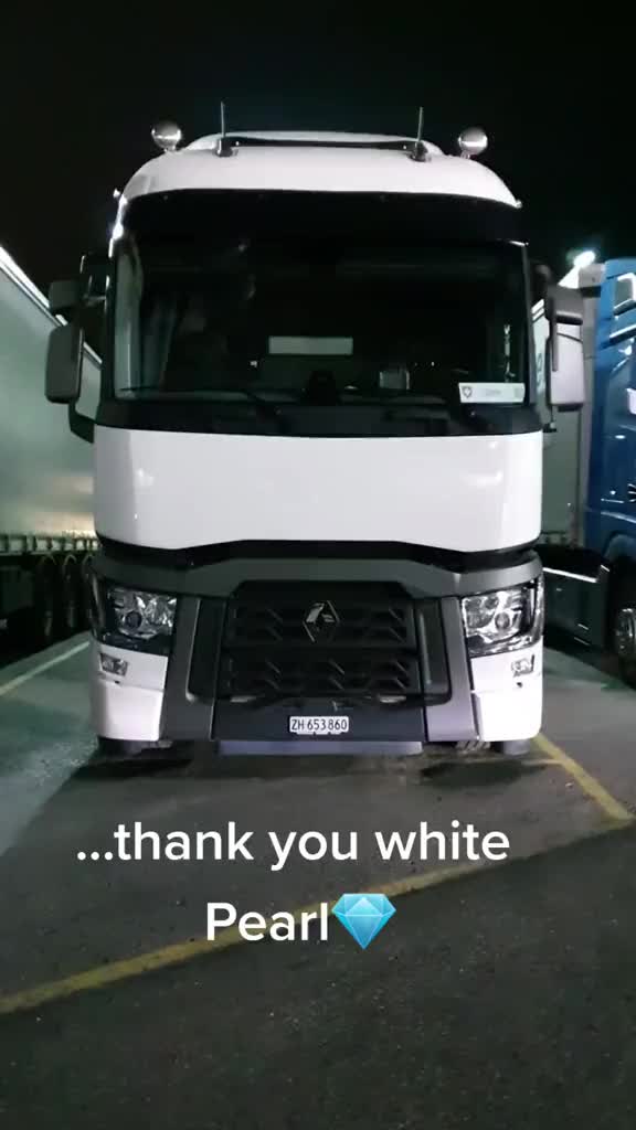 @linusgeisser