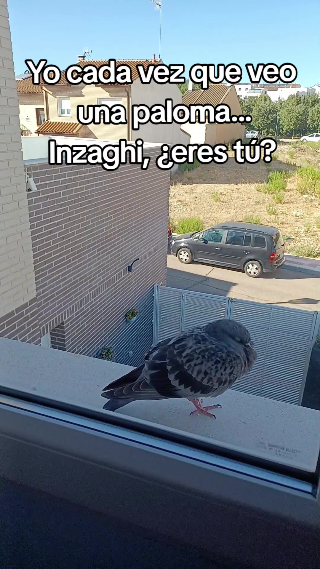 @Sari 🦆