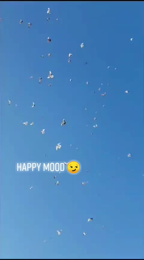 @راجہ عدیل منڈی گروپ گجرخان
