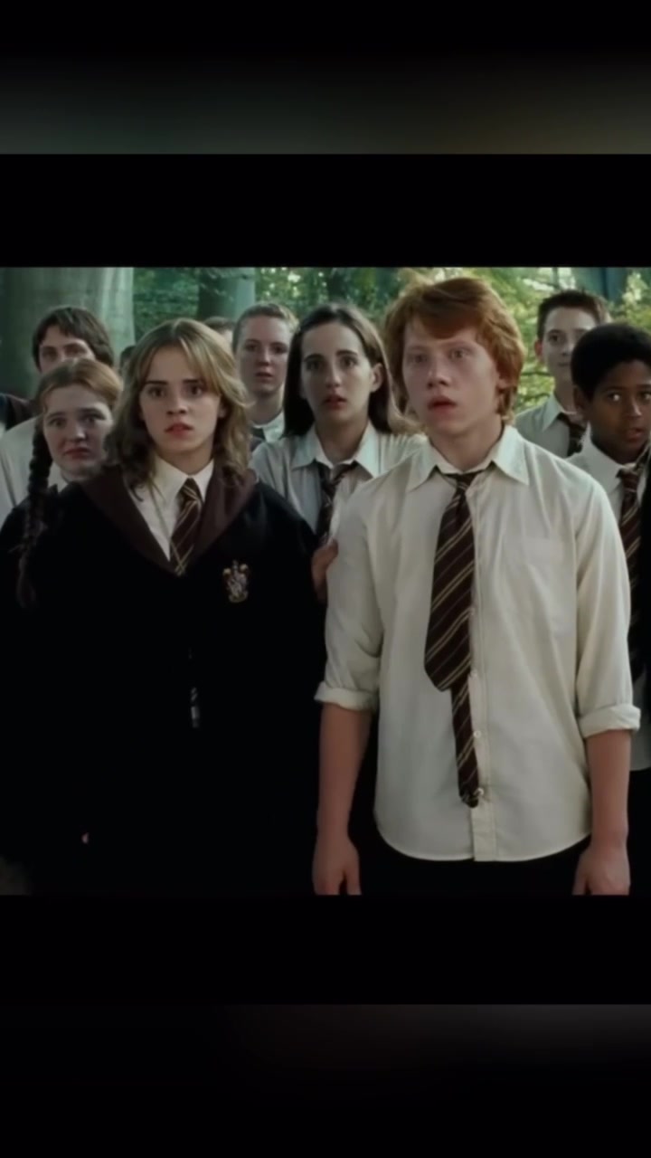 @Just a Potterhead 🫡