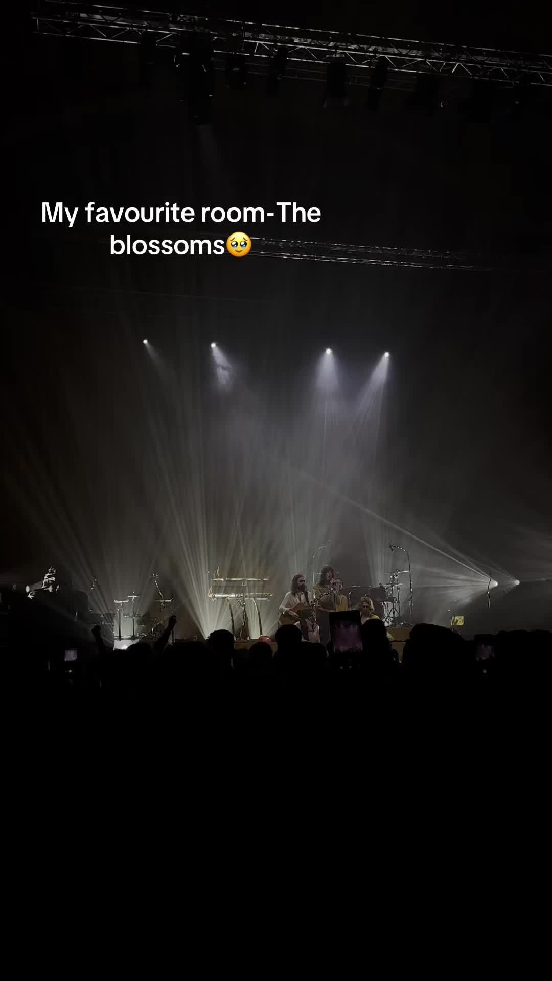 @Leonirobo