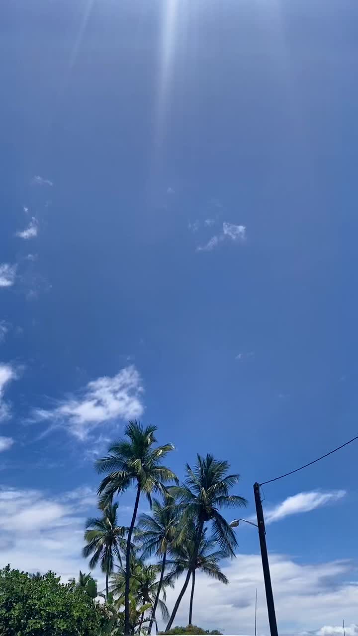 @ahnz ✌🏼🌸✨