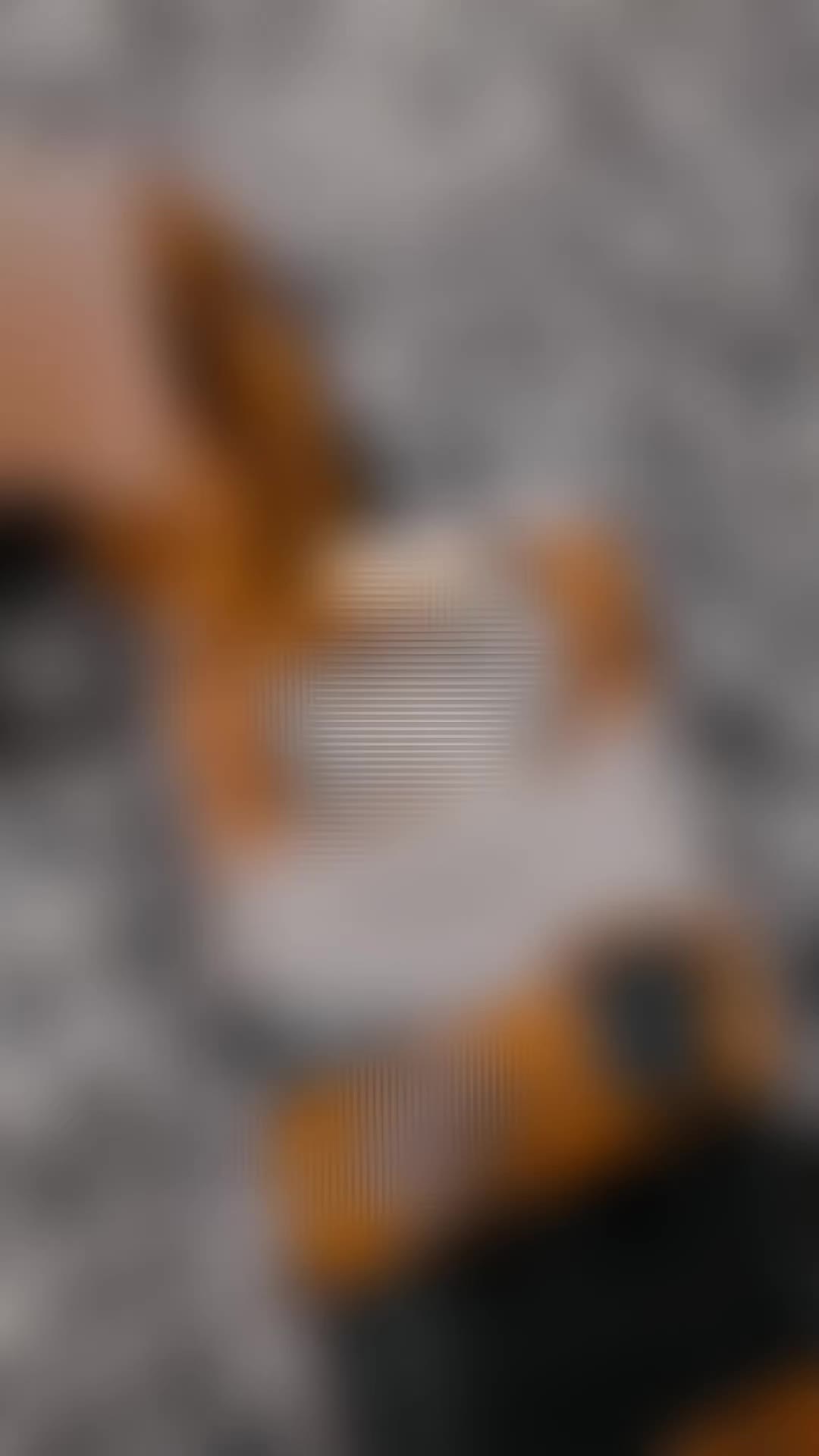 @𝐿 🦇