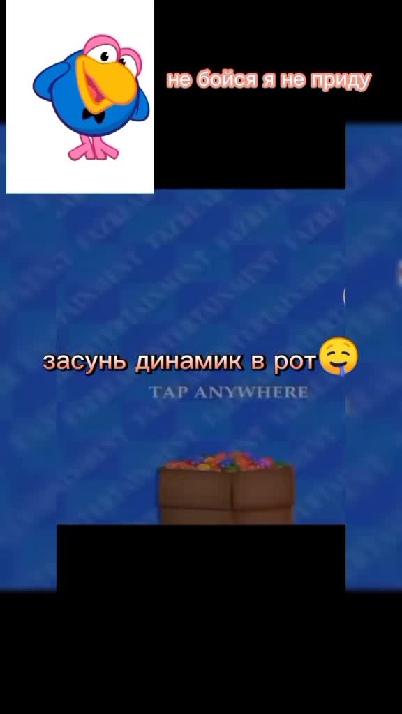 @povo