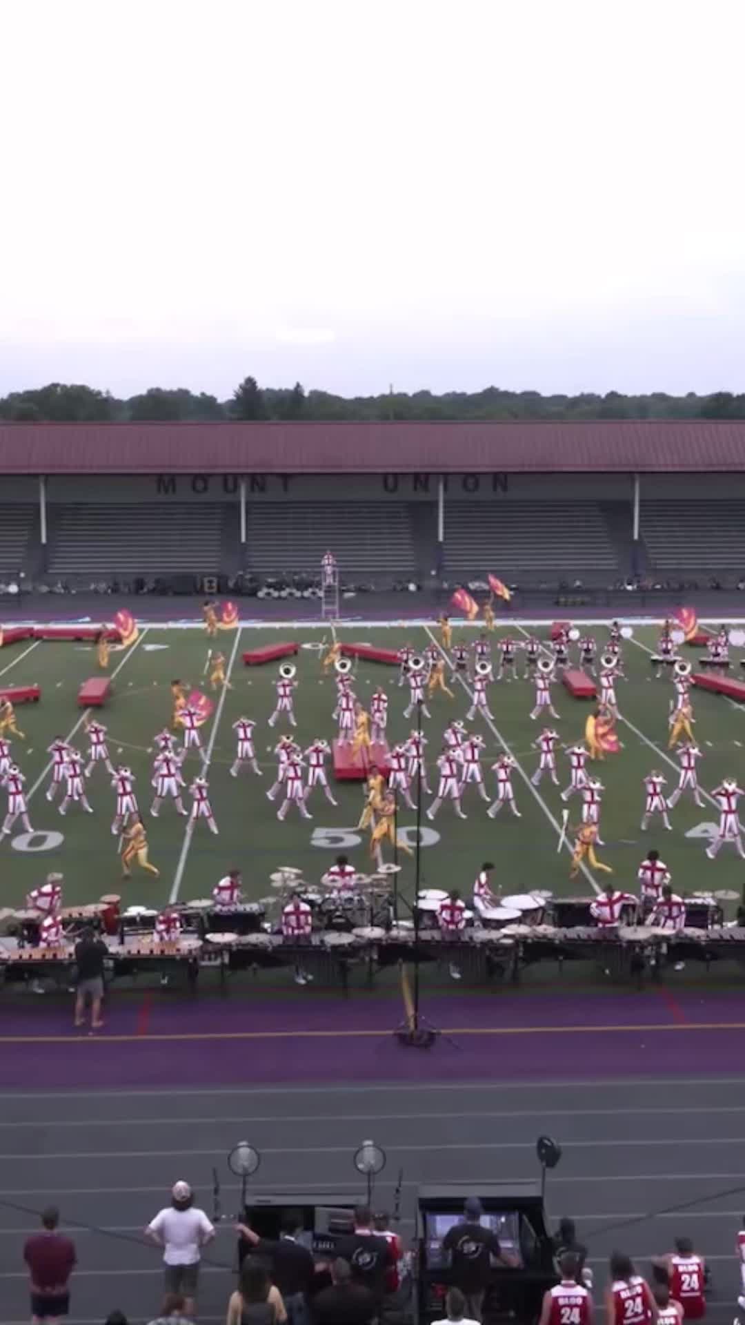 @The Marching Tapir