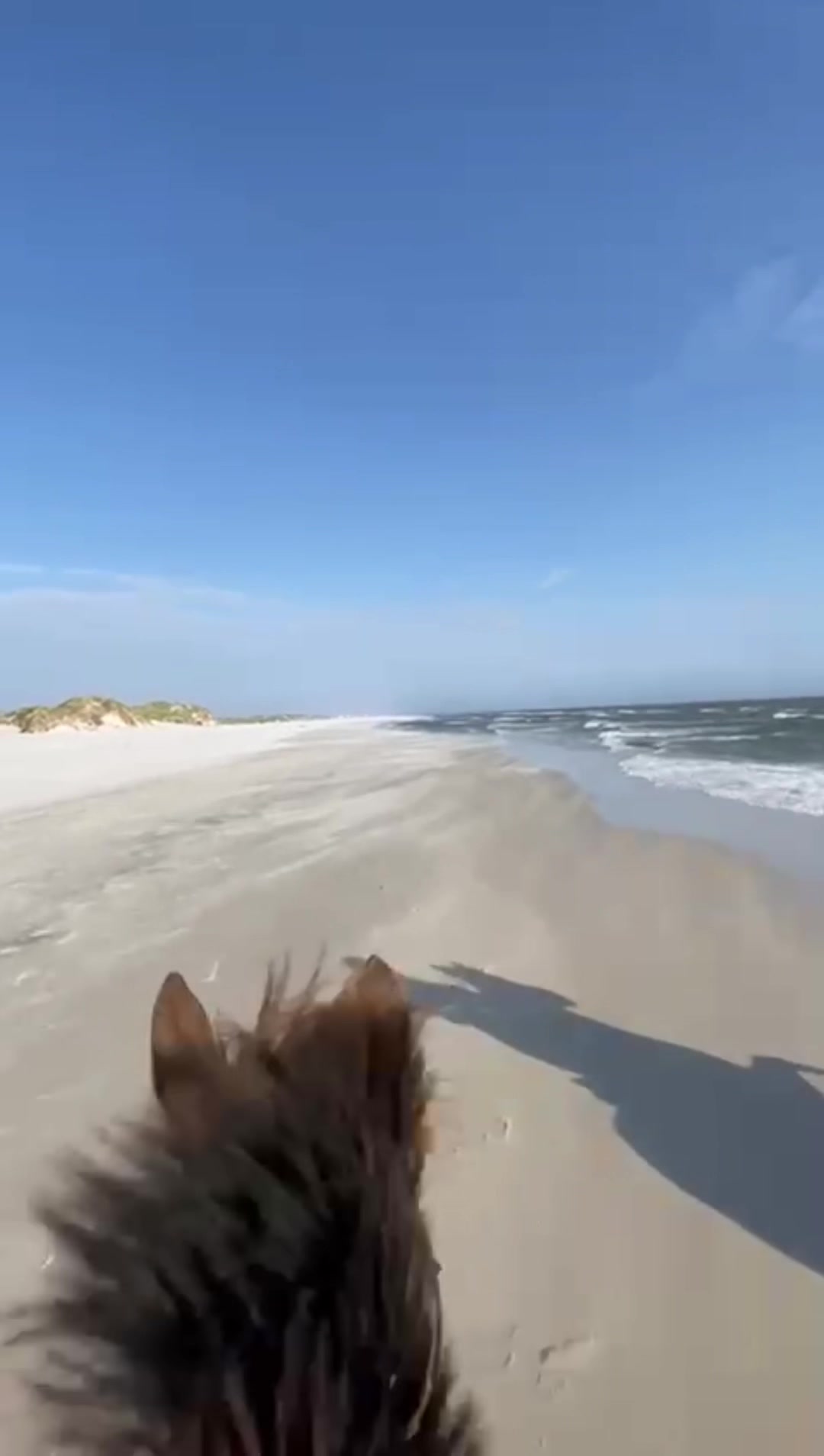 @reiterhof.andresen.amrum