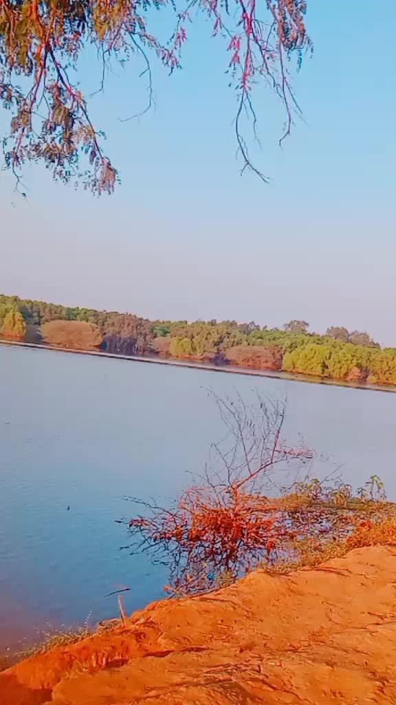 @nirajan 98