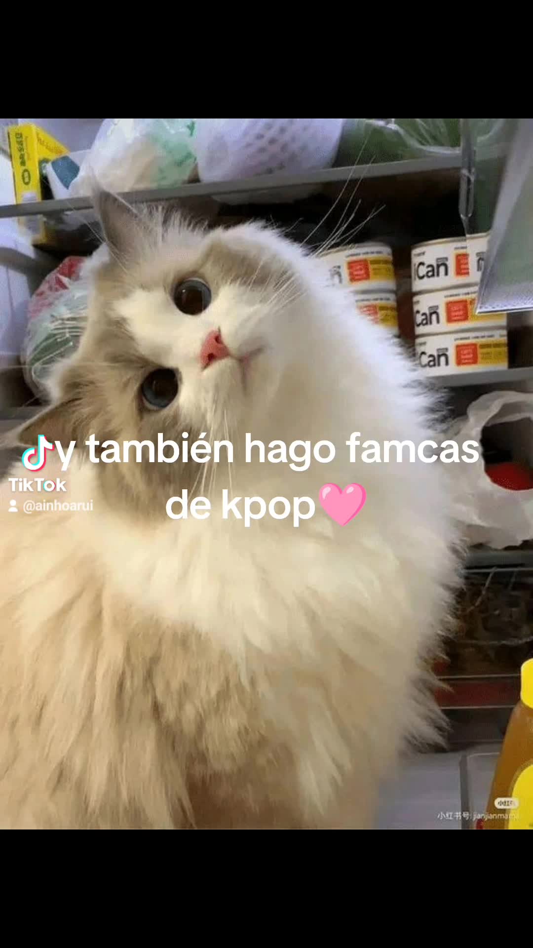 @noa ( chae's versión)