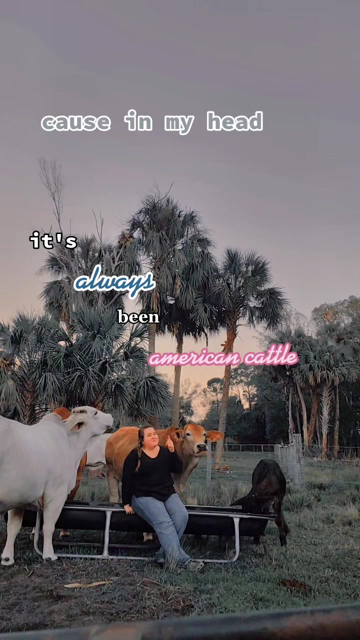 @✨️ KAITLYN ✨️