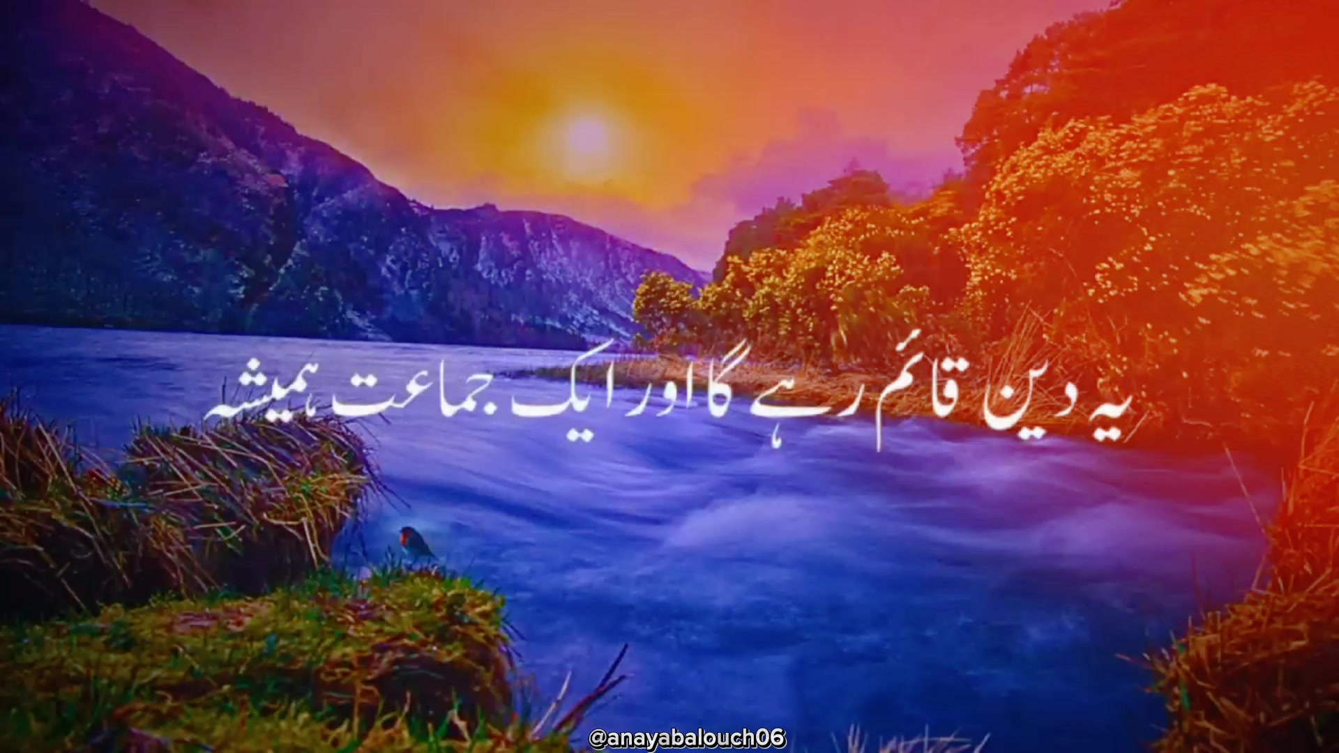 @Anaya balouch