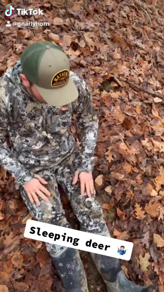 @Gnarlyhorn