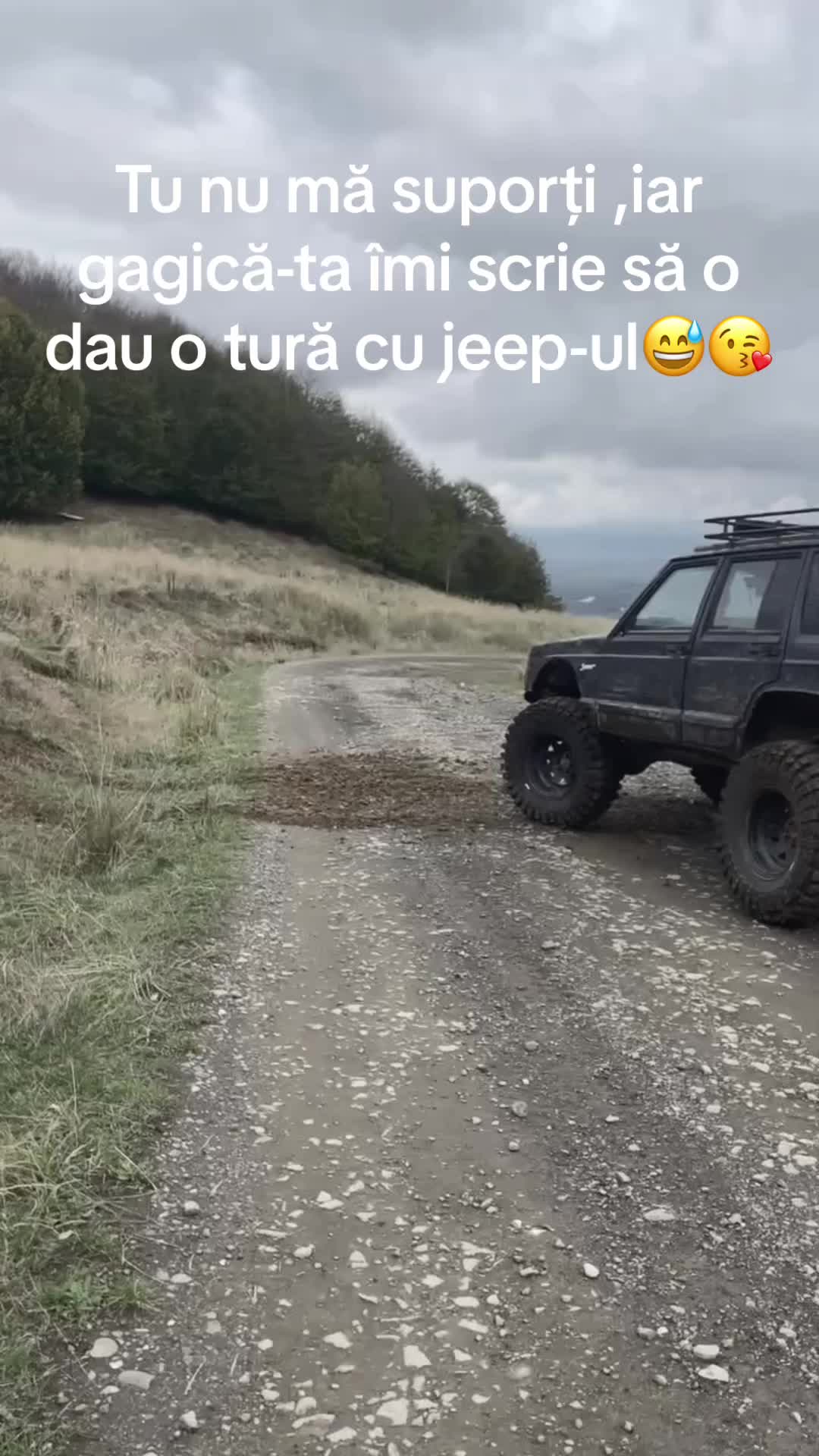 @Zizu
