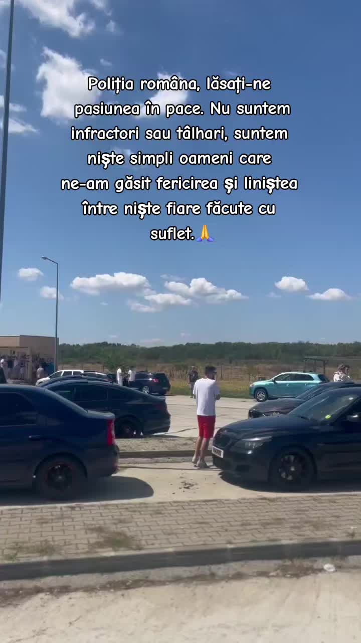 @Alin Florin