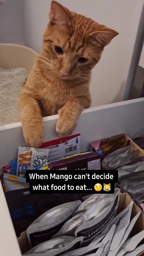 @Kiwi and Mango 🥝🥭