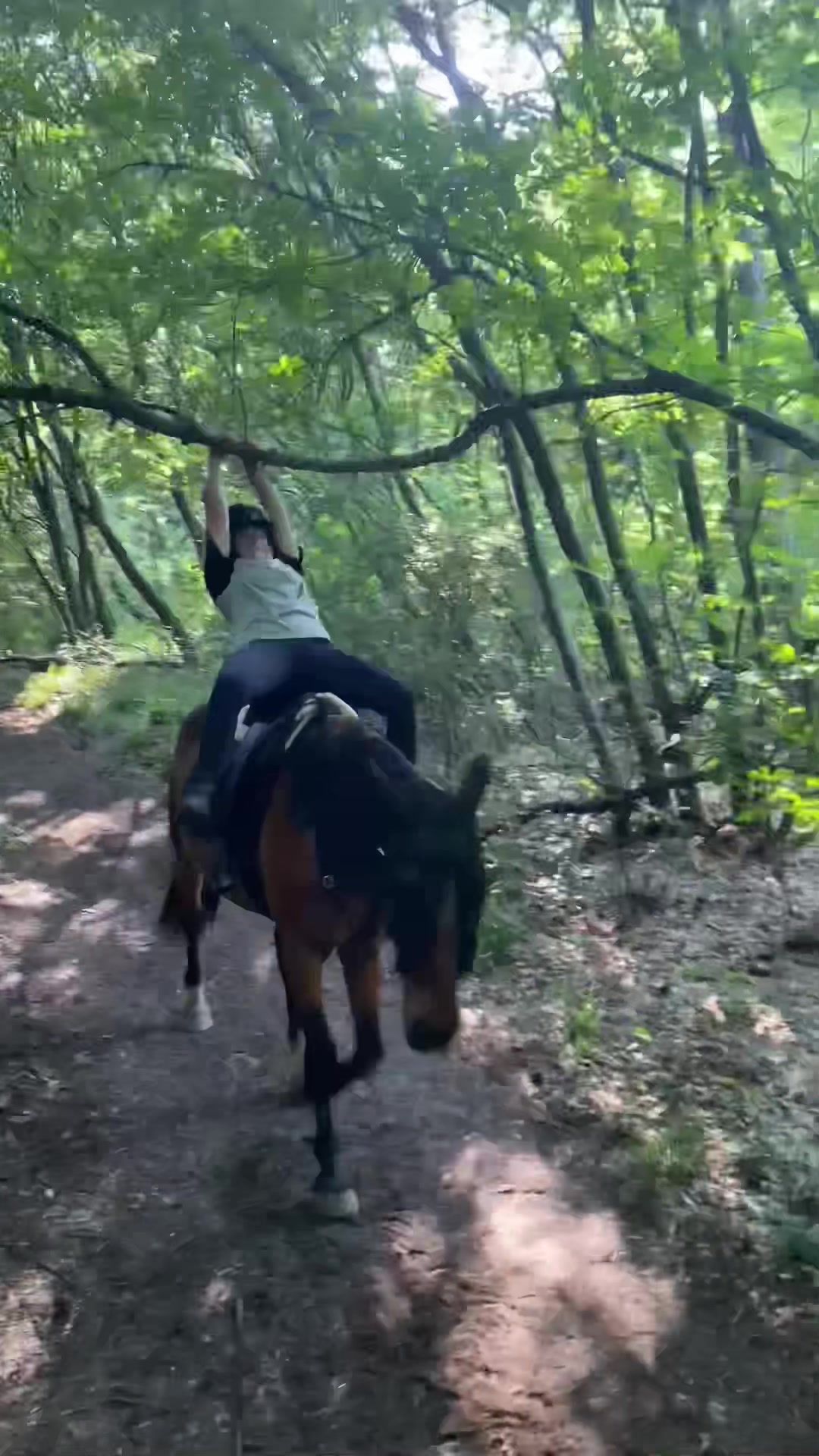 @JustRide