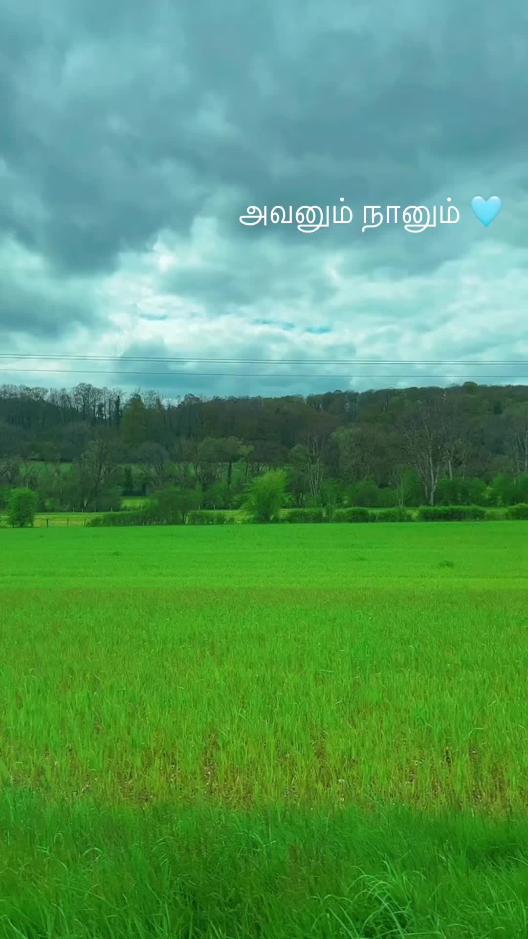 @V♥️K ❤️ என் அழகிய தாடிகாரன் 💚