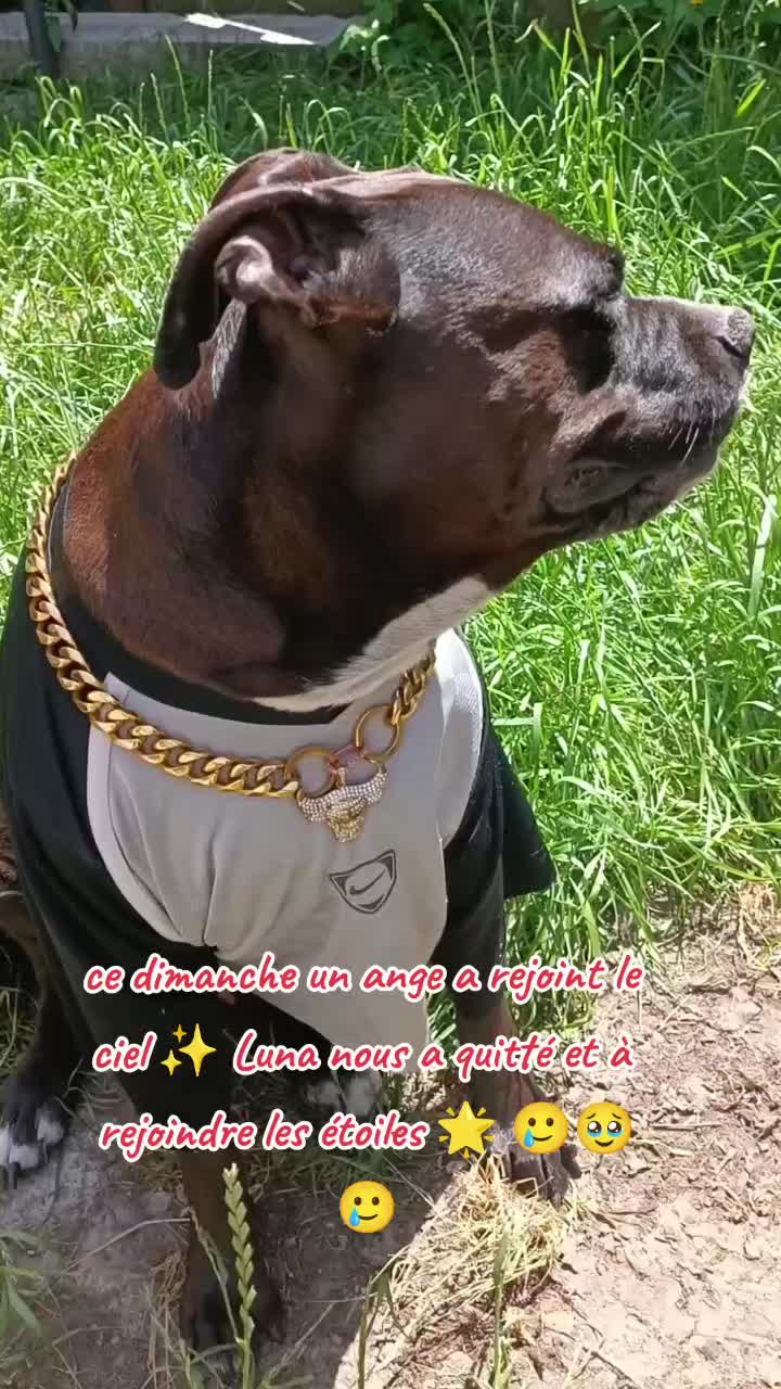 @Lunar&egrave;s777