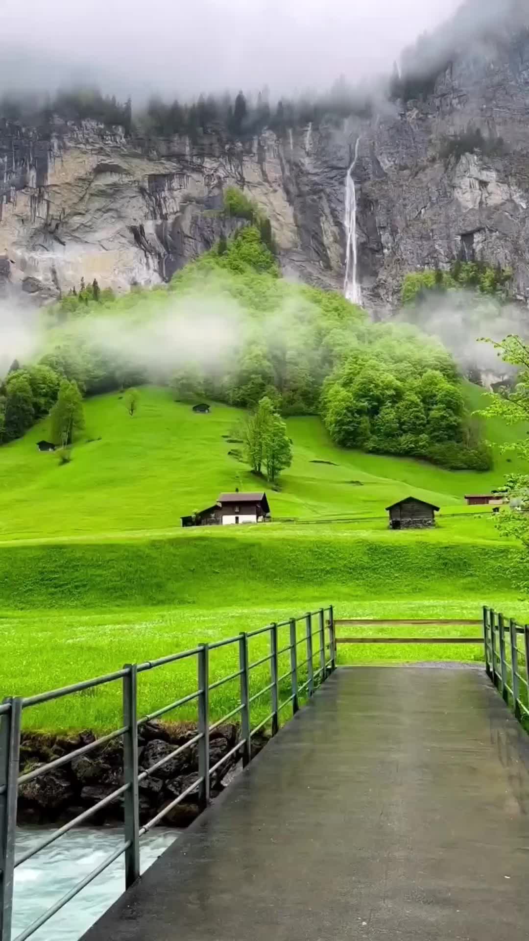 @Traveler