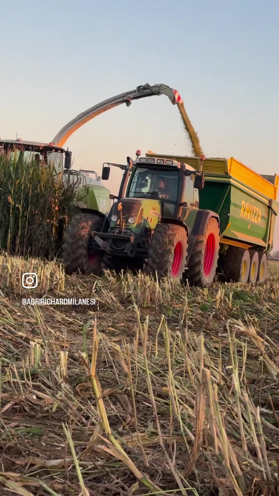 @AgriRichardMilanesi
