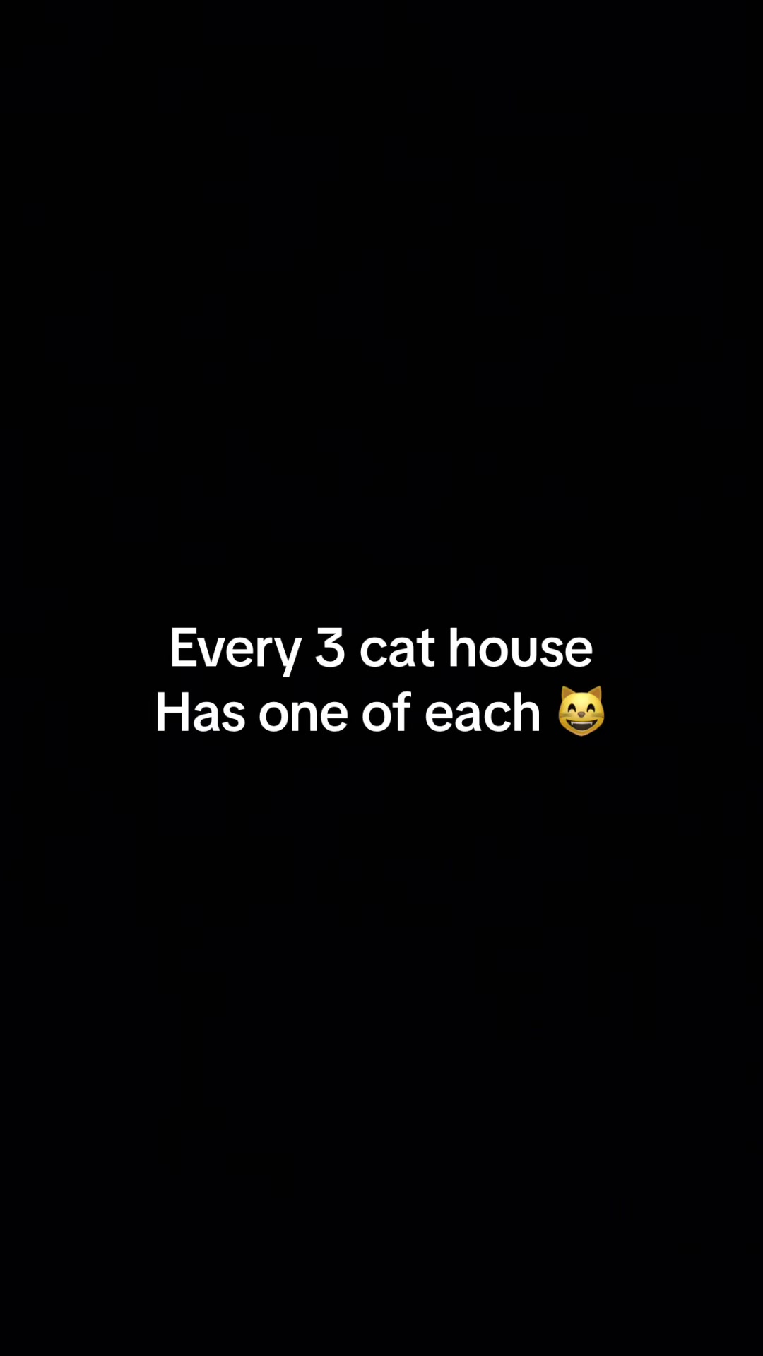@Caitlan
