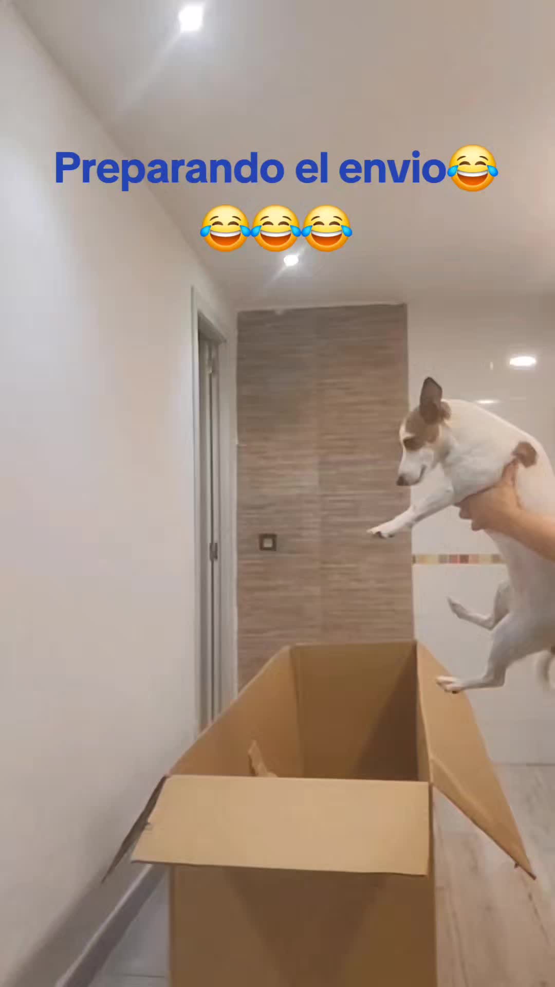 @Sandra Berm&uacute;dez Su&aacute;rez