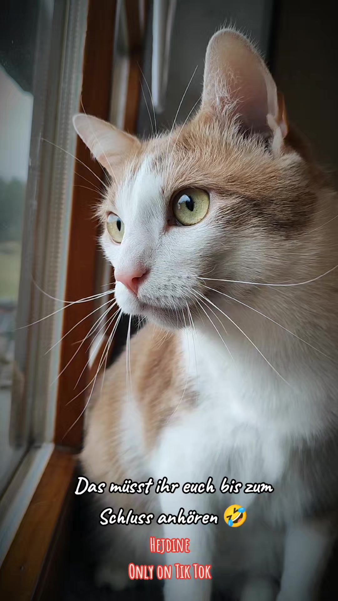 @😻нⷩeͤjdͩiͥneͤ😻