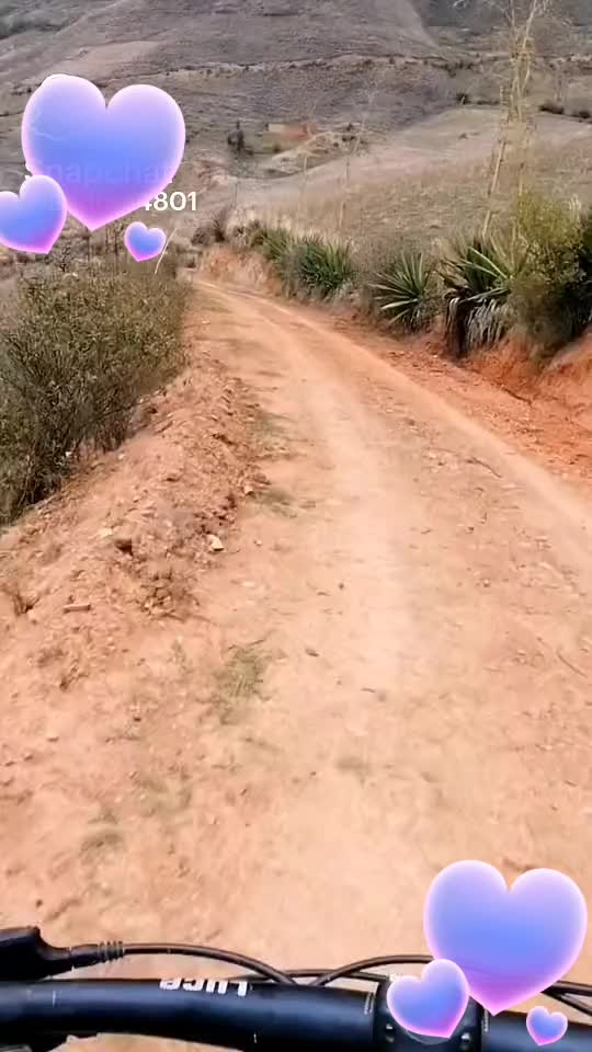 @🧿💎🦋susanadulceamor🦋💎🧿