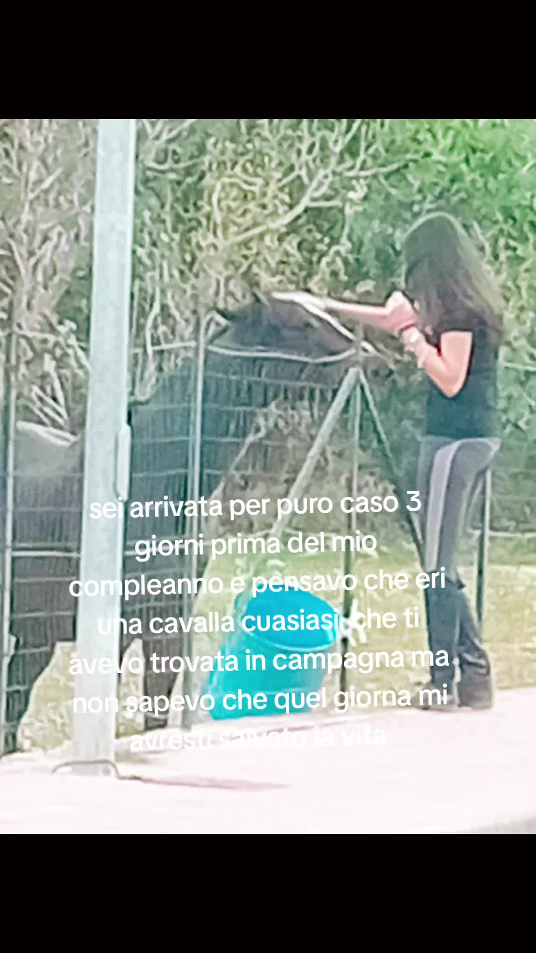 @Giuly
