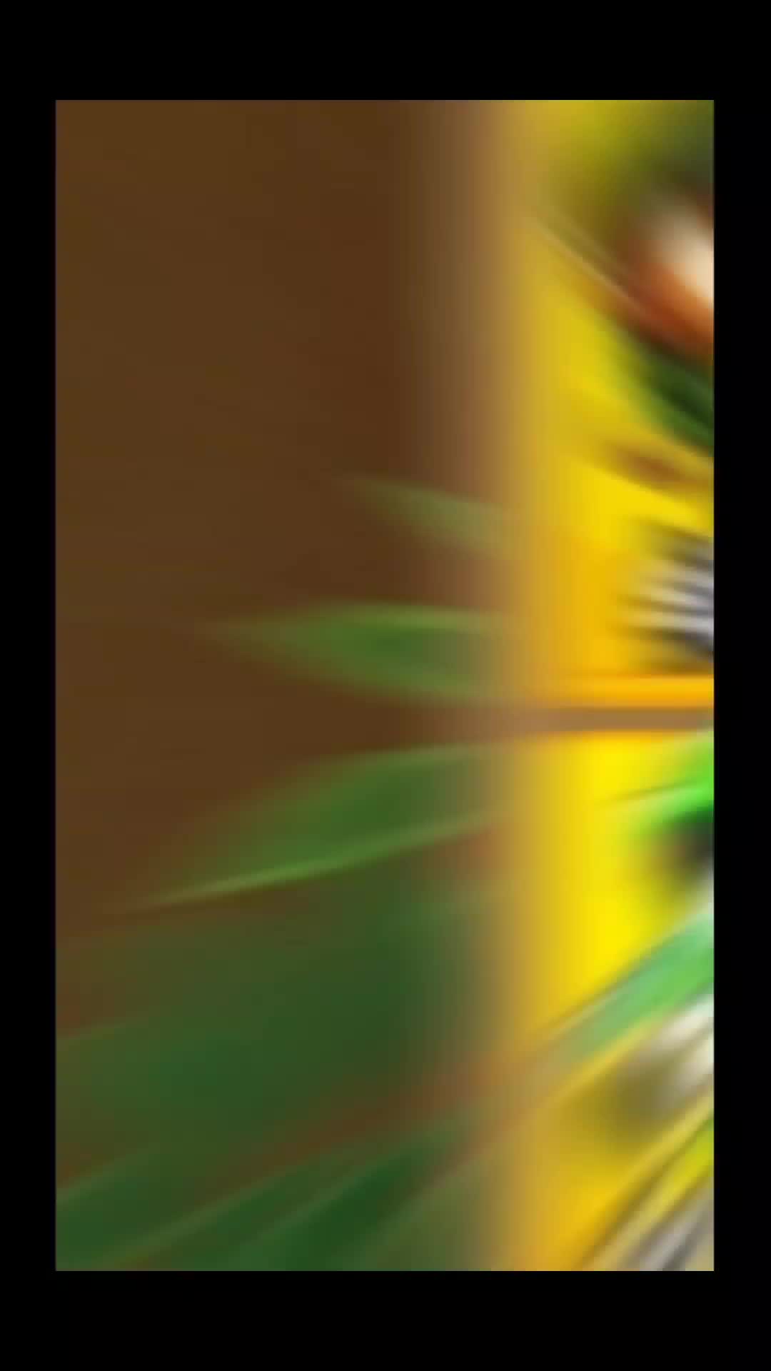 @palwordapk