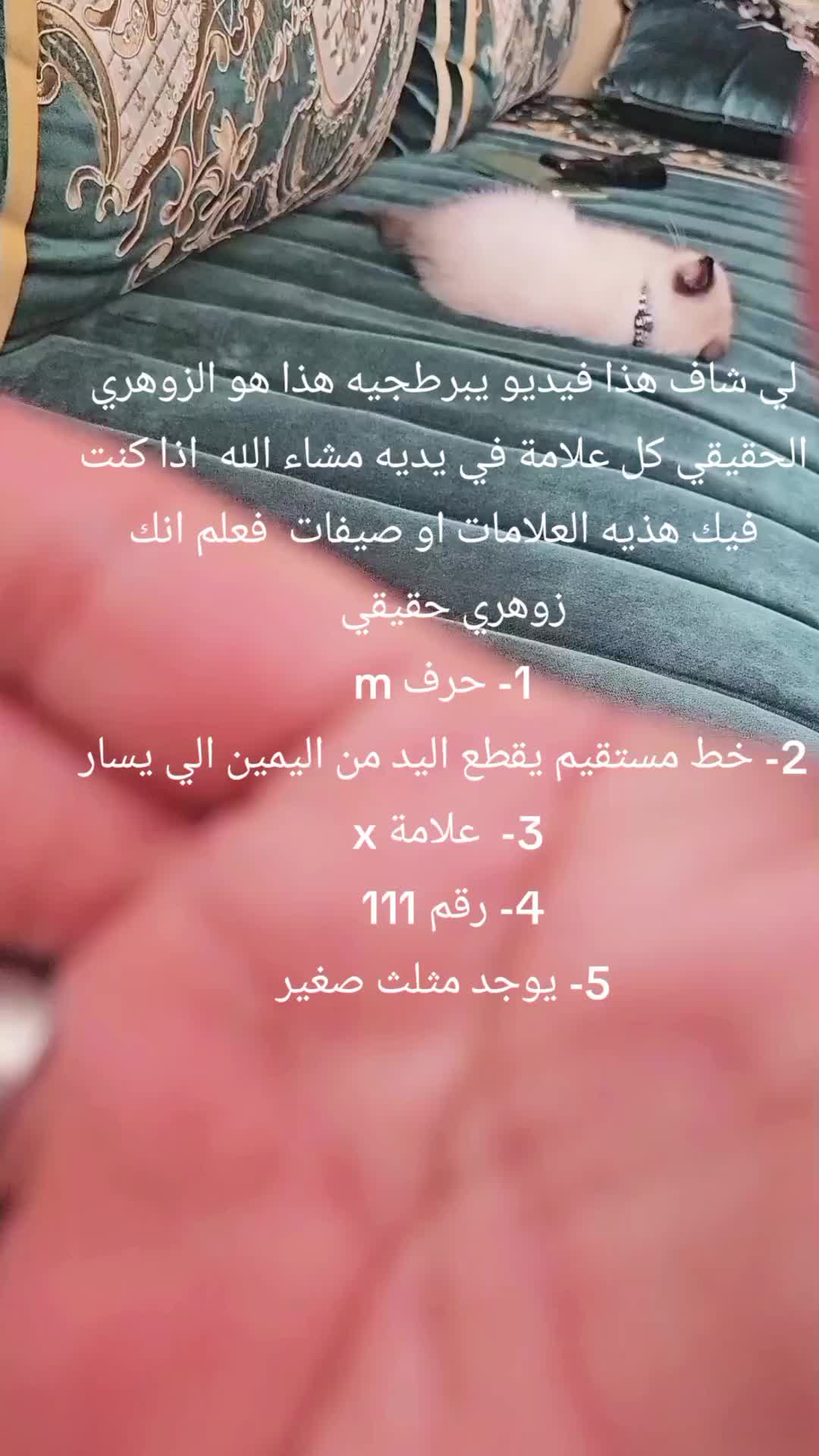 @الزوهري المعالج