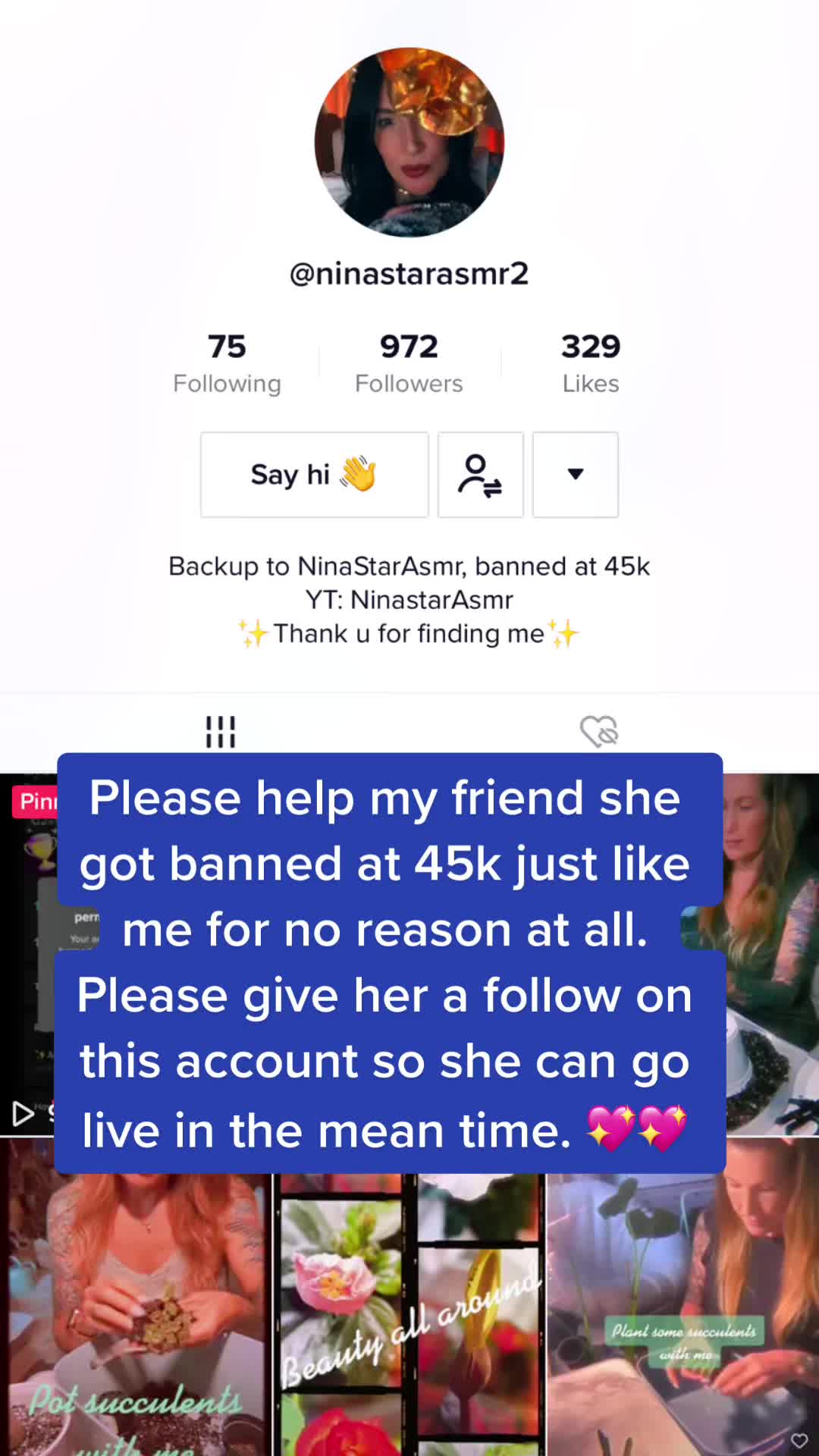 @luxtinglesASMR