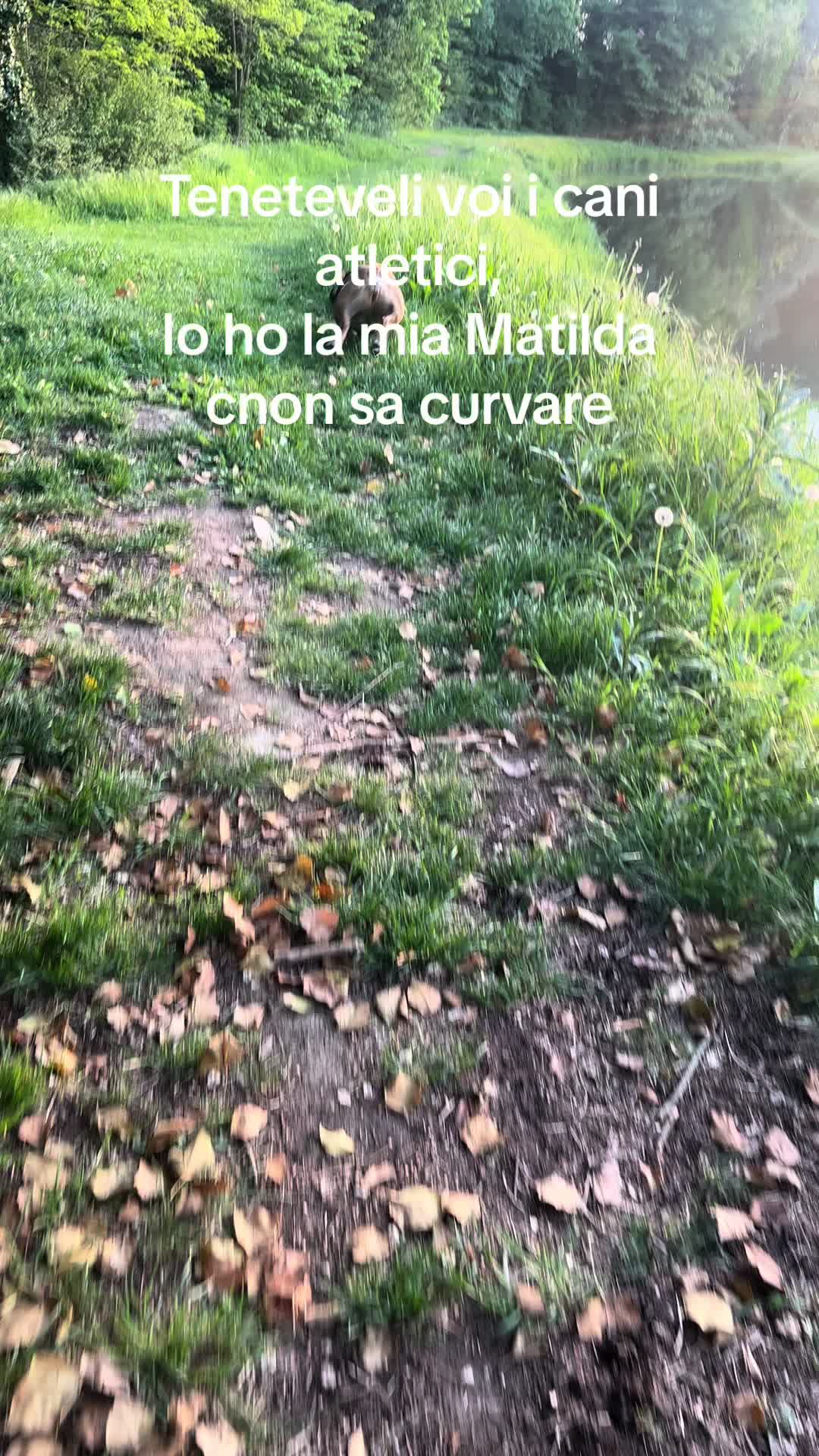 @Sara Talarico