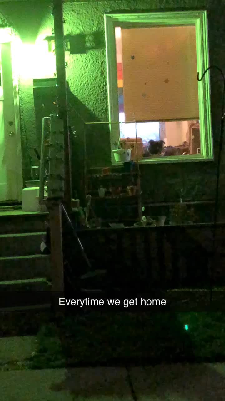 @The Wayward Punk