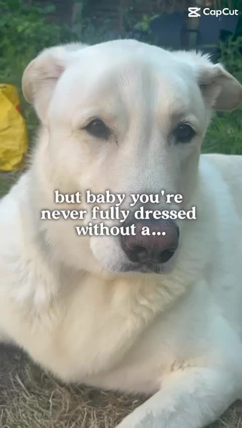 @Roo Cooper