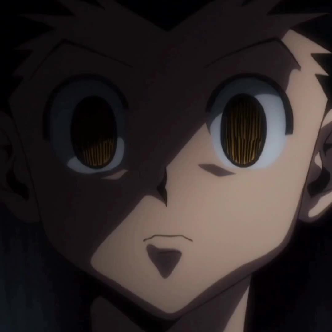@HunterxHunterIsLive