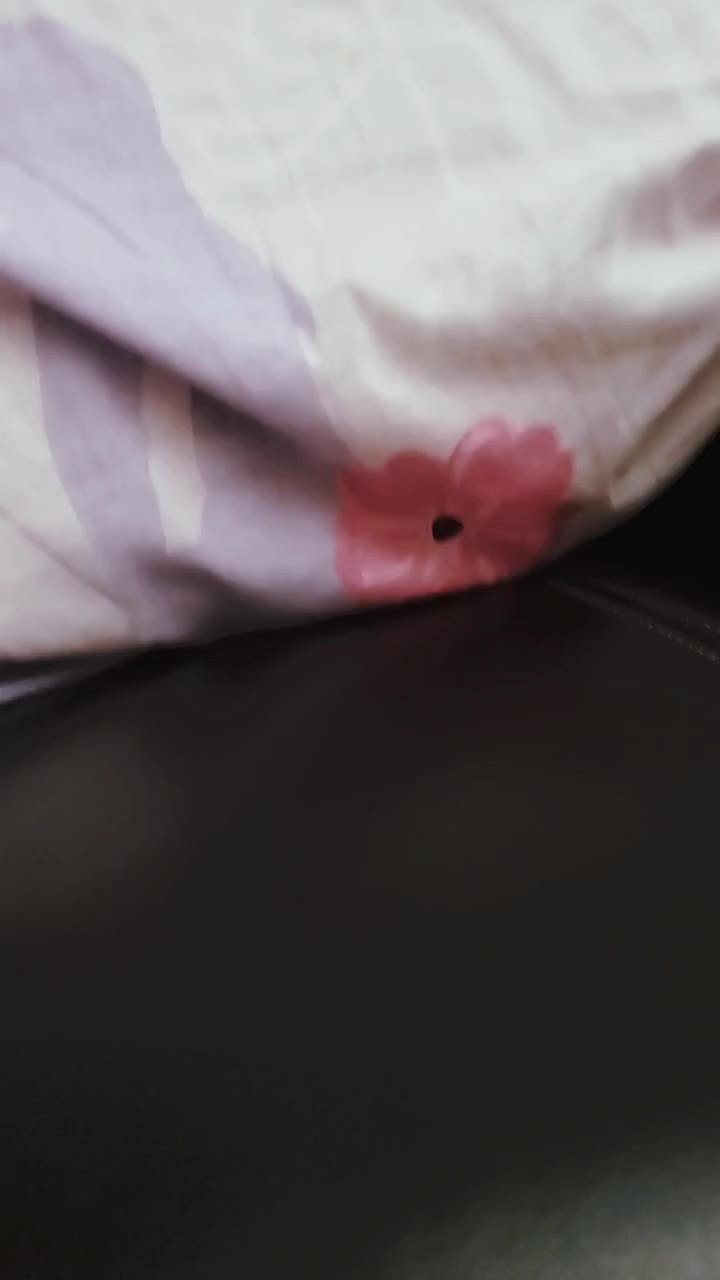 @Toy Tiktok